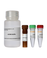 dsDNA HS assay Kit _ 12640ES yeasen