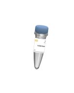 Hieff™ Super Bst DNA Polymerase (2000 U/μL) _ 14410ES yeasen