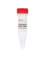 10 × RNase R  Reaction Buffer  GMP-grade _ 14616ES yeasen