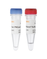 Fast PNGase F, Glycerol-free _ 20406ES yeasen