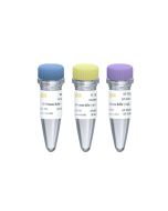 SUMO Protease (1 U/μL, Expressed in E.coli.) _ 20410ES yeasen
