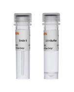 Endo S _ 20413ES yeasen