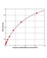 Inorganic Pyrophosphatase ELISA kit _ 36706ES yeasen