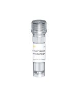 Hieff Trans™ Liposomal Transfection Reagent (Ver.2000) _ 40802ES yeasen