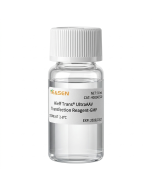 Hieff Trans™ UltraAAV Transfection Reagent (PEI, GMP grade) _ 40824ES yeasen