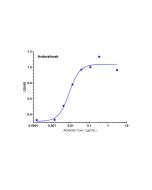 Recombinant Human C5AR Protein-VLP _ 95034ES yeasen
