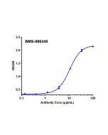 Recombinant Human CCR8 Protein-VLP _ 95037ES yeasen