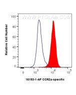 CCR2a-specific Polyclonal antibody 16153-1-AP proteintech