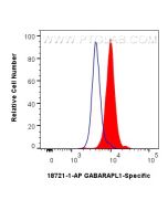 GABARAPL1-Specific Polyclonal antibody 18721-1-AP proteintech