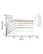 GRP94 Monoclonal antibody 60012-2-Ig proteintech