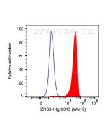 Anti-Human CD13 (WM15) 65186-1-Ig proteintech