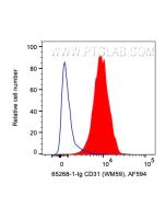 Anti-Human CD31 (WM-59) 65268-1-Ig proteintech