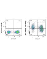 Anti-Human ICAM-1/CD54 (15.2) Mouse IgG2a Recombinant Antibody 65567-1-MR proteintech