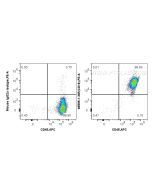 Anti-Human CD18 (TS1/18) Mouse IgG2a Recombinant Antibody 65595-1-MR proteintech