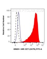 Anti-Human CD71 (OKT9) Mouse IgG2a Recombinant Antibody 65605-1-MR proteintech