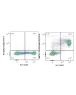 Anti-Mouse CD11b (M1/70) Rat Recombinant Antibody 65672-1-TR proteintech