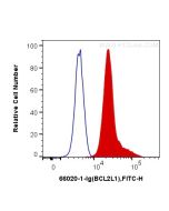 BCL2L1 Monoclonal antibody 66020-1-Ig proteintech