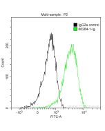 Cytochrome c Monoclonal antibody 66264-1-Ig proteintech