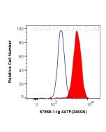 AATF Monoclonal antibody 67868-1-Ig proteintech