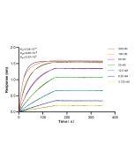 FKBP10/FKBP65 Recombinant monoclonal antibody 81567-1-RR proteintech