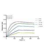 Galectin-3 Recombinant monoclonal antibody 82024-1-RR proteintech