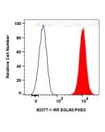 EGLN3 Recombinant monoclonal antibody 82377-1-RR proteintech