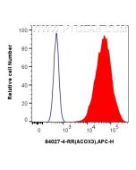 ACOX3 Recombinant monoclonal antibody 84027-4-RR proteintech
