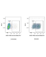 Anti-Human E-selectin/CD62E Rabbit Recombinant Antibody 98189-1-RR proteintech