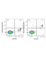 Anti-Human CD302 Rabbit Recombinant Antibody 98413-1-RR proteintech