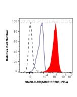 Anti-Human CD206 Rabbit Recombinant Antibody 98458-3-RR proteintech