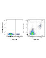 Anti-Human CD74 Rabbit Recombinant Antibody 98478-2-RR proteintech
