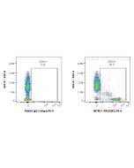 Anti-Human CD52 Rabbit Recombinant Antibody 98750-1-RR proteintech