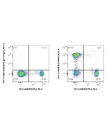 FcZero-rAb® APC Anti-Rat CD45RA (OX-33) Rabbit Recombinant Antibody APC-FcA65578 proteintech