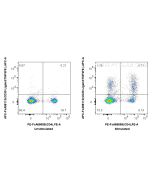 FcZero-rAb® APC Anti-Mouse CD30 Ligand/TNFSF8 Rabbit Recombinant Antibody APC-FcA98113 proteintech