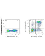 FcZero-rAb® APC Anti-Human CD36 Rabbit Recombinant Antibody APC-FcA98132 proteintech