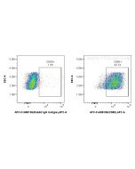 FcZero-rAb® APC Anti-Mouse CD80 Rabbit Recombinant Antibody APC-FcA98158 proteintech