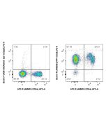 FcZero-rAb® Biotin Anti-Mouse DPP4/CD26 Rabbit Recombinant Antibody Biotin-FcA98356 proteintech