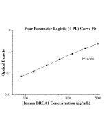 Human BRCA1 ELISA Kit KE00487 proteintech