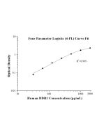 Human DDR1 ELISA Kit KE00676 proteintech