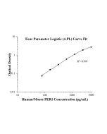 Human/Mouse PER1 ELISA Kit KE00743 proteintech