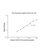 Human AGPAT2 ELISA Kit KE01042 proteintech