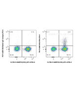 FcZero-rAb® PE Anti-Human CCR4 Rabbit Recombinant Antibody PE-FcA98745 proteintech